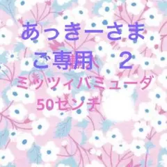 あっきーさまご専用　２