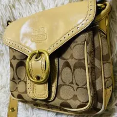 COACH コーチ シグネチャー ショルダー ベージュ フラワー Y2K 袋付き