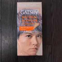 ギャッツビーナチュラルブリーチ & カラーアクアシルバーのサムネイル