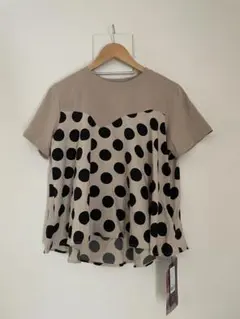 Item thumbnail for item 46687f95-bb23-4aee-9e65-ef985c19b857