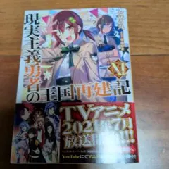 現実主義勇者の王国再建記Ⅺ