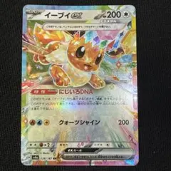 2026年最新】イーブイ ex rrの人気アイテム - メルカリ