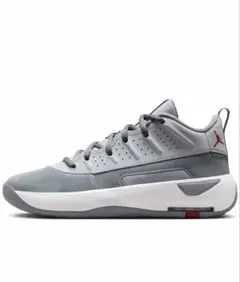 猫*様 ナイキ ジョーダン マックス オーラ 7 ウルフグレー 26cm