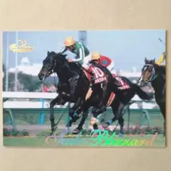 THE VICTORY 1999、タイキブリザード【3点300円】
