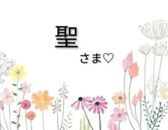 聖 様♡専用 .*✿