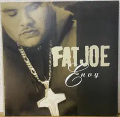 FAT JOE /ENVY レコード