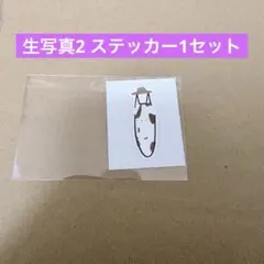 櫻坂46 櫻坂 6th tour イラストステッカー ツアー 向井純葉