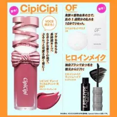 【早い者勝ち】VoCE3月号 special増刊号付録 3点セット