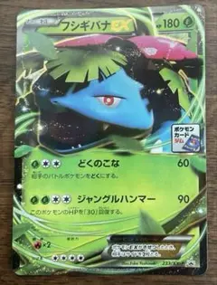 2025年最新】フシギバナEX ジムの人気アイテム - メルカリ