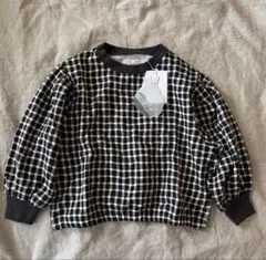 Item thumbnail for item 4ed01330-45bc-4045-b492-f785ae9ae84e