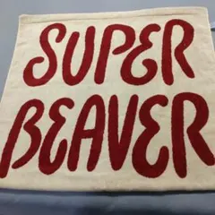2026年最新】SUPERBEAVERブランケットの人気アイテム - メルカリ
