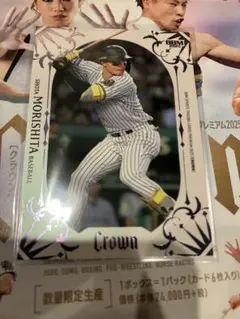 bbm crown 2025 森下 阪神