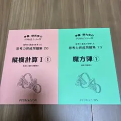 ピグマリオン PYGLIシリーズ 思考力育成問題集 2冊セット　浜学園