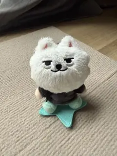 2026年最新】txt スビン ぬいぐるみの人気アイテム - メルカリ