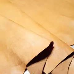 Item thumbnail for item 1dd30cfd-2038-4e65-b90e-7c2996f90a7d