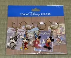 東京ディズニーリゾート キーホルダー