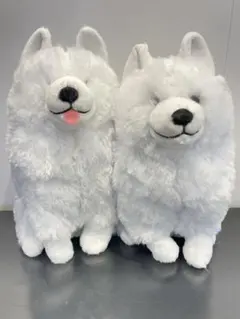 サモエドりんたろうウルトラBIG GiGO限定 【全2種】 圧縮しません