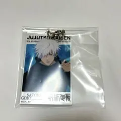 呪術廻戦　五条悟　大交流展　アクリルビッグタグ　アクキー