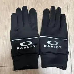 Item thumbnail for item c9d28a99-1b95-477f-9f02-279e899102fb