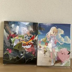 リーリエ　コレクションファイル　2個入り【再シュリンク、詐欺なし】 2025年最新】コレクションファイル リーリエの人気アイテム