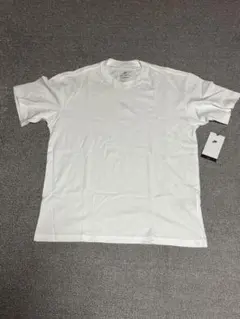 Item thumbnail for item e9e70b13-f3e5-4e83-b72a-1423c6f029a8