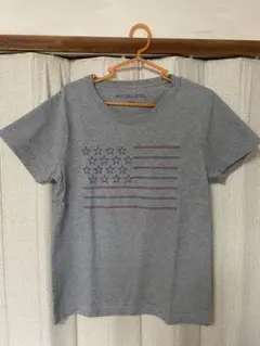 ANTI BALLISTIC 星条旗 刺繍 Tシャツ グレー Lのサムネイル