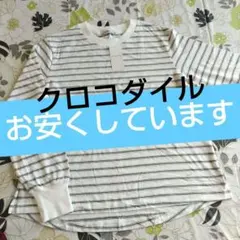 新品 未着用 クロコダイル 長袖Tシャツ M ホワイトストライプ