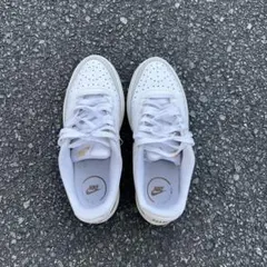 ナイキ コート ビジョン アルタ レオパード柄モデル