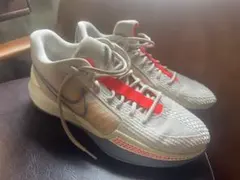 サブリナ1 KOBE wmns29 mens 28.5Nike