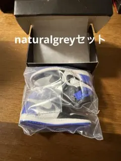 AirJordan1 High 85 NATURALGELY fragment