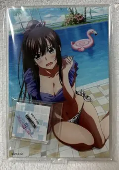 2025年最新】ストライク・ザ・ブラッド アクリルスタンドの人気