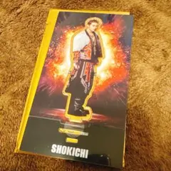 Item thumbnail for item 35271a3a-baa0-408f-b595-4747593a4784