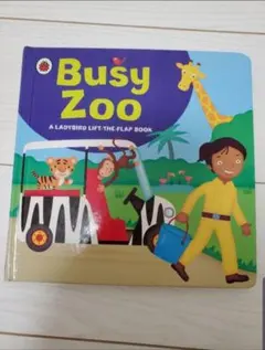 Busy zoo
