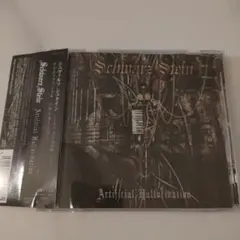 Schwarz Stein: Artificial Hallucination