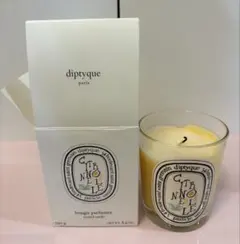 diptyque CITRONNELLE フレグランスキャンドル190g 限定品 - メルカリ