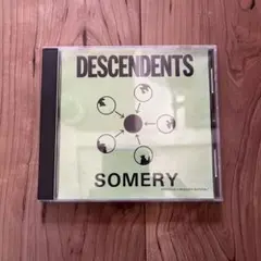 ★レアまとめ★ALL レコード PUNK US DESCENDENTS CRUZ 日本盤】All & Descendents / Live Plus One [JPN Orig.LP+Inner