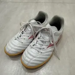 12月16日までキャンペーンにつきお値下げMizunoフットサルシューズ22.5