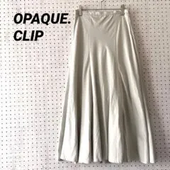 オペークドットクリップ フレアスカート ロング丈（38）ライトグリーン スリット