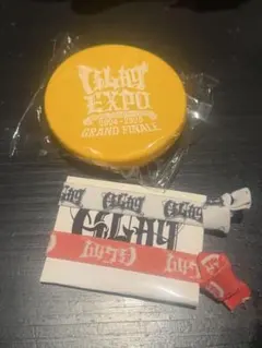 GLAY EXPO 30th Anniversary グッズセット