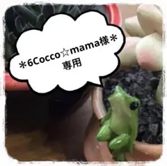 ＊6Cocco☆mama様 専用＊ リクエスト 4点 まとめ商品