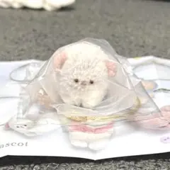 mei フィギュアマスコット 手乗りのわんちゃん 【しろ】