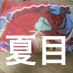 あんさんぶるスターズ あんスタ ビッグクッション 逆先夏目 GIGO