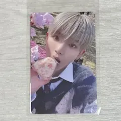 &TEAM 月狼 トレカ HARUA ハルア ラキドロ