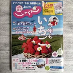 Item thumbnail for item facad098-7123-4685-8f0f-94be591a72b6