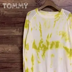 【入手困難!!】　トミー　TOMMY  天竺ニット　希少カラー　M  奇抜