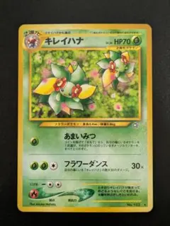 PSA10 キレイハナ 旧裏 NEO 金、銀、新世界へ… ポケモンカード 旧裏」キレイハナ ☆ 拡張パック第1弾 金、銀、新世界へ… - メルカリ