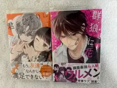 君をひとりにしてあげない 2、群狼に花 1