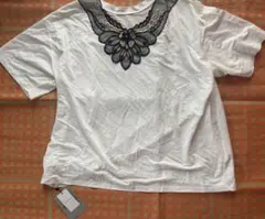 Item thumbnail for item 9c592aae-f452-4c75-84a5-ada713c682ea