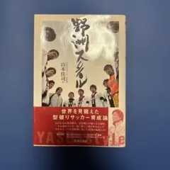 野洲スタイル