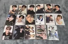 straykids スキズ チャンビン 17枚セット